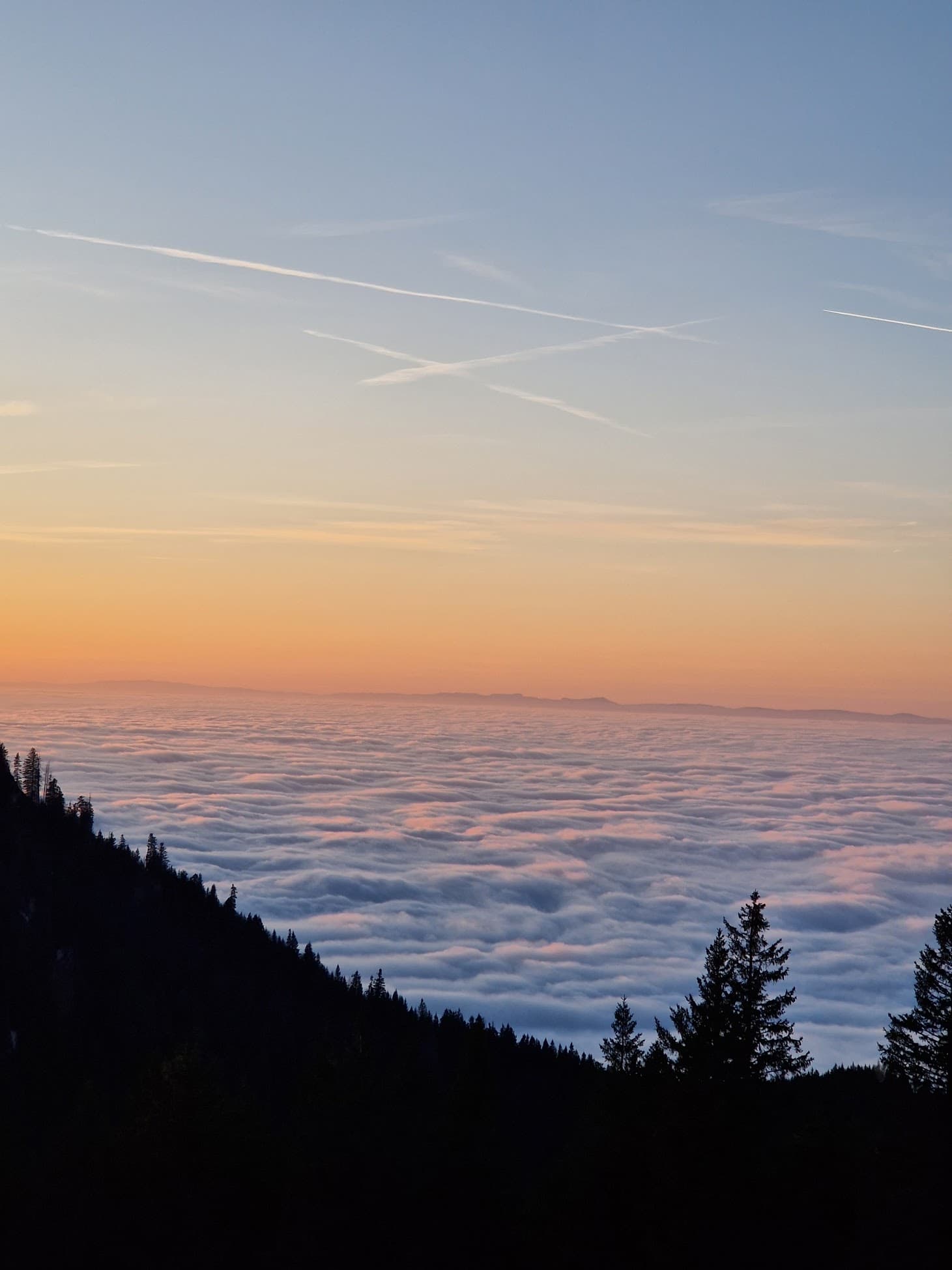 Mein erstes next.js Projekt