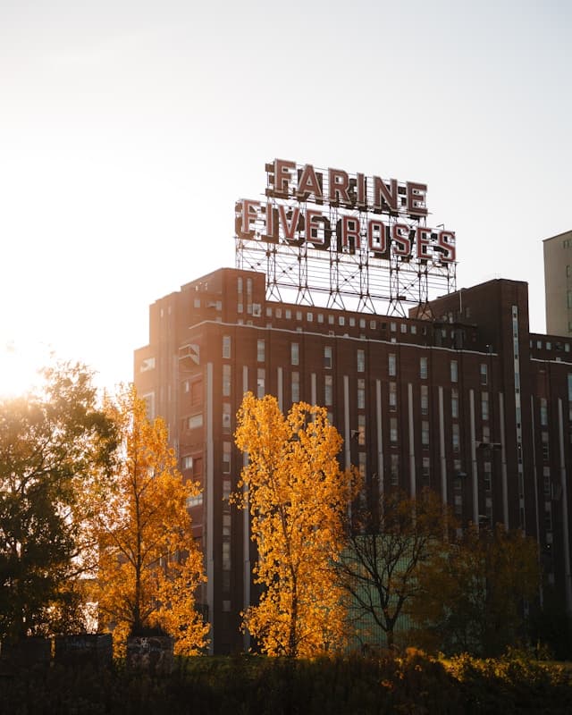 Effektive Werkzeuge im Requirements Engineering